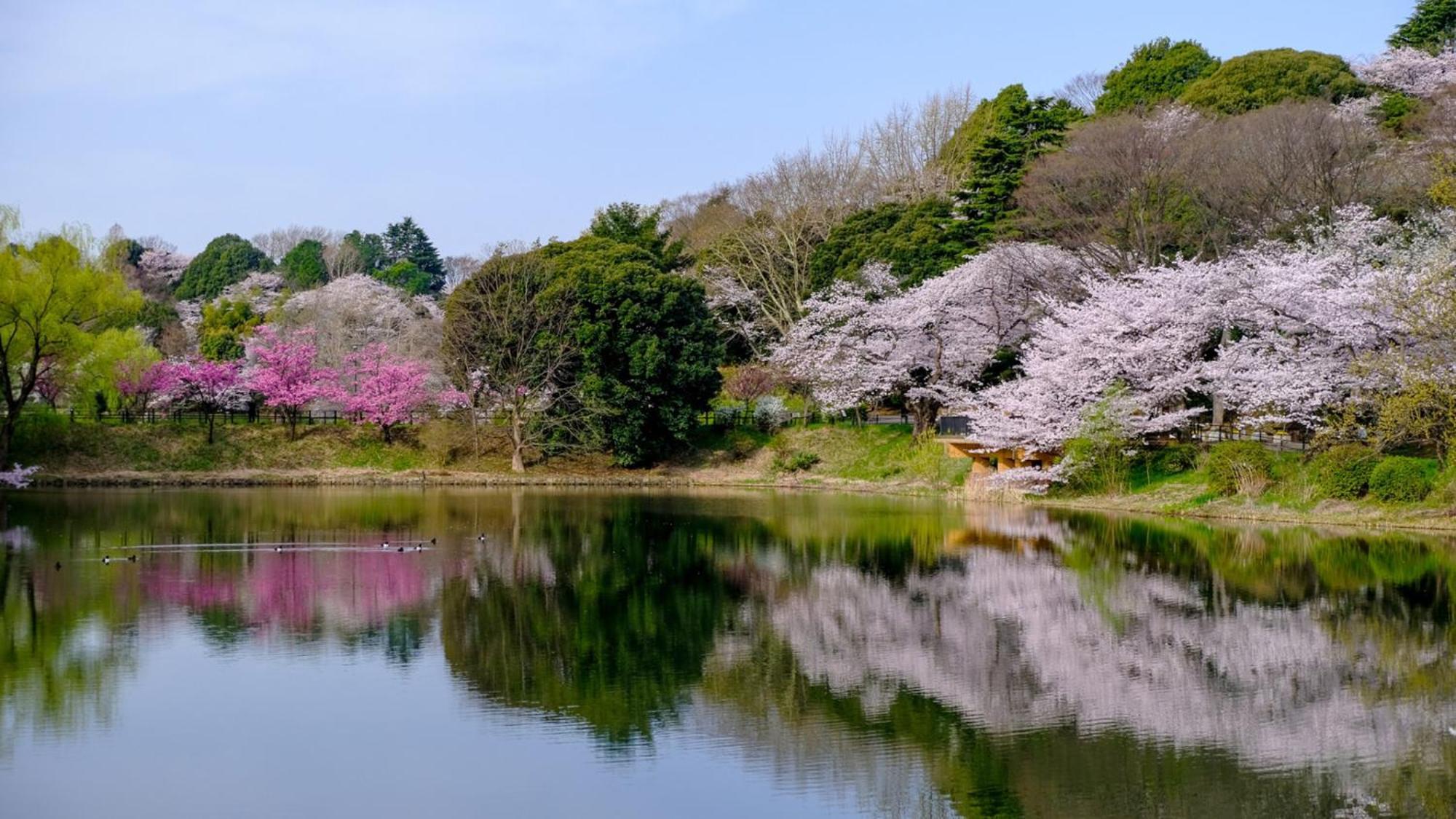 Toyoko Inn Yokohama Tsurumi Eki Higashi Guchi Exteriér fotografie
